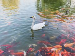 -常州花鸟园酒店(西太湖品牌优选店)