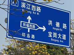 -洲头咀公园
