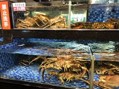 -顺德了能馆(虎门店)