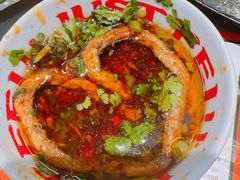 -生活如沸·顺德水牛奶火锅(大学路店)