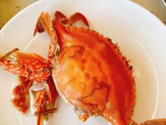 -港畔赶海蒸汽海鲜烧烤自助(仙螺岛店)