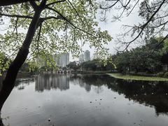 -荔湾湖公园