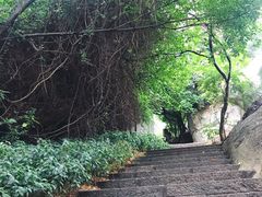 -厦门园林植物园-植物园滴水山房