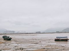 -北岐滩涂
