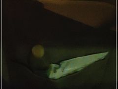 -赶海部落海鲜城(海阳路店)