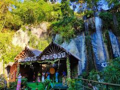 -西双版纳原始森林公园