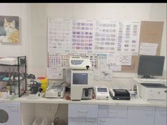 -守诺宠物医院·眼科· 特色牙科·异宠专科(虹口店)