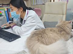 -宠爱国际动物医院·消化内科·心肾内科·ISFM猫友好(望京店)