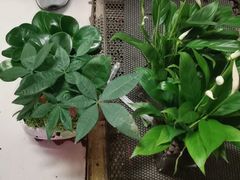 -三旗百汇商品城