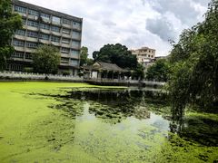 -黄埔古港