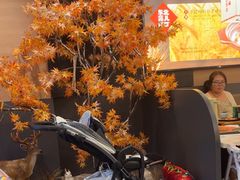 -东北范·金牌肘子·杀猪菜(美乐城店)