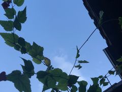-恺庐茶园(宽窄巷子景区店)