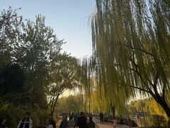 -南翠屏公园