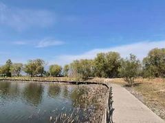 -野鸭湖国家湿地公园