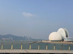 -野狸岛