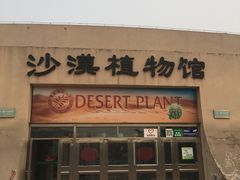 -石家庄市植物园