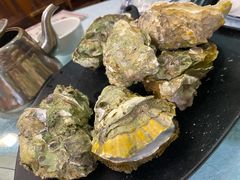 桑拿蠔-天宝食坊·啫啫煲大排档(西华路店)