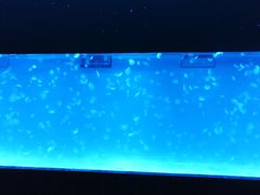 -多彩贵州城极地海洋世界