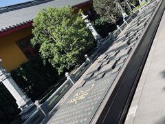 -上海青龙寺