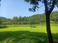 -唐崖土司城遗址