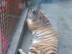 -南昌动物园