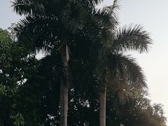 -广州市白云山风景名胜区