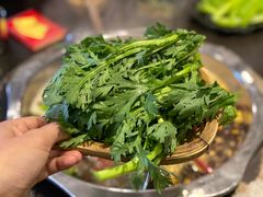 茼蒿-重庆风光老灶火锅城(同德广场店)