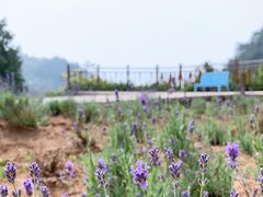 -云峰山自然风景区