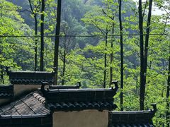 -藏龙百瀑风景区