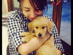 -Oh My Dog宠物沙龙(伊珊娜皮毛护理店)