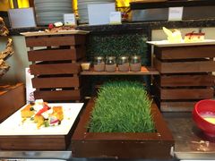 -威斯汀舞台餐厅