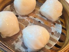 添运来虾饺皇-添运来(茶园奥园广场店)