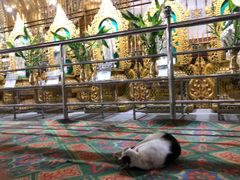 -ခြောက်ထပ်ကြီးရွှေသာလျောင်းဘုရားကြီး