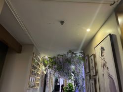 -盘子女人坊生日照·摄影馆(华强店)
