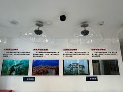-中国第四纪冰川遗迹陈列馆