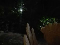 夜晚温泉城-龙达温泉生态城