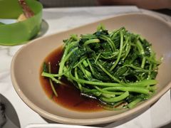 -MR鹅外