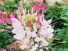 -江苏三台山国家森林公园