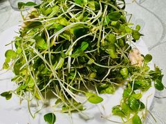 -洁捷餐饮(双桥农场店)