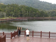 -海南热带雨林国家公园吊罗山景区