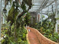 -国家植物园南园