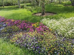 -姜美堂·蒸姜除湿の纤体美颜馆