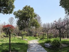 -上海长兴岛郊野公园