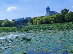 -长春市南湖公园