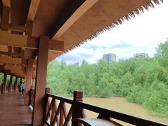 -大亚湾红树林城市湿地公园