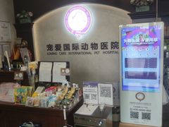 -宠爱国际动物医院·疑难骨科·心肾内科·皮肤科(太阳宫店)