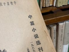 -斯多格书乡(北京大学畅春园店)
