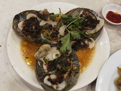 豉汁蒸带子-四海之家(蛇口店)