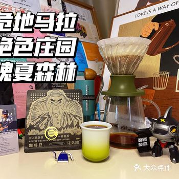 竞标瑰夏丨2023危地马拉 绝色庄园 瑰夏森林