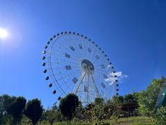 -特克斯八卦城